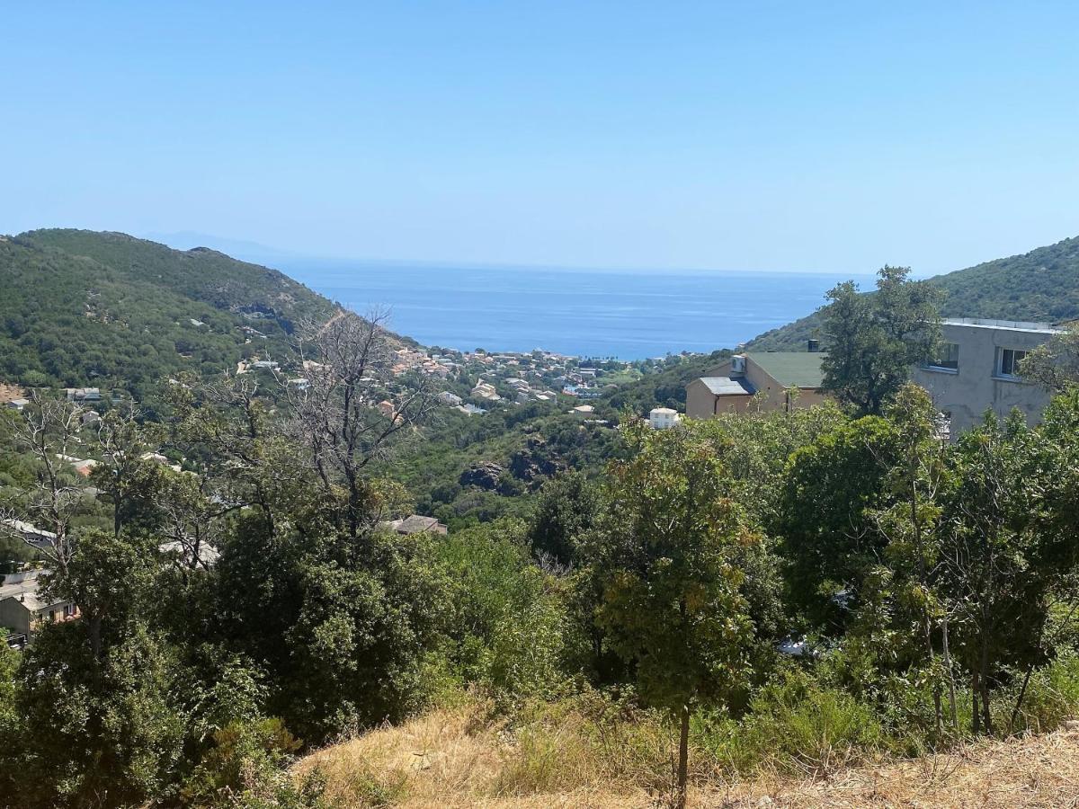 U Cavallu - Luxe Entre Mer Et Montagne Santa-Maria-di-Lota Ngoại thất bức ảnh