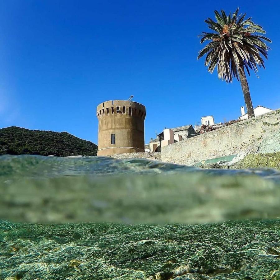 U Cavallu - Luxe Entre Mer Et Montagne Santa-Maria-di-Lota Ngoại thất bức ảnh